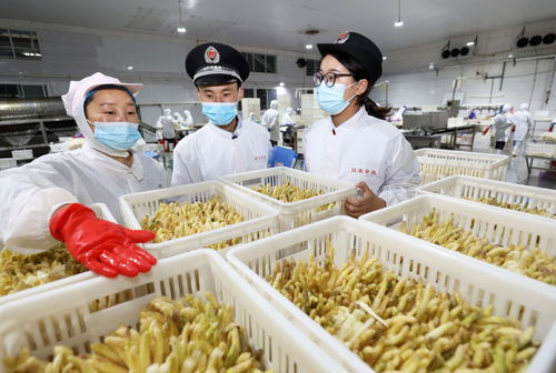 網絡銷售特殊食品安全合規指南 引領行業規范發展新方向